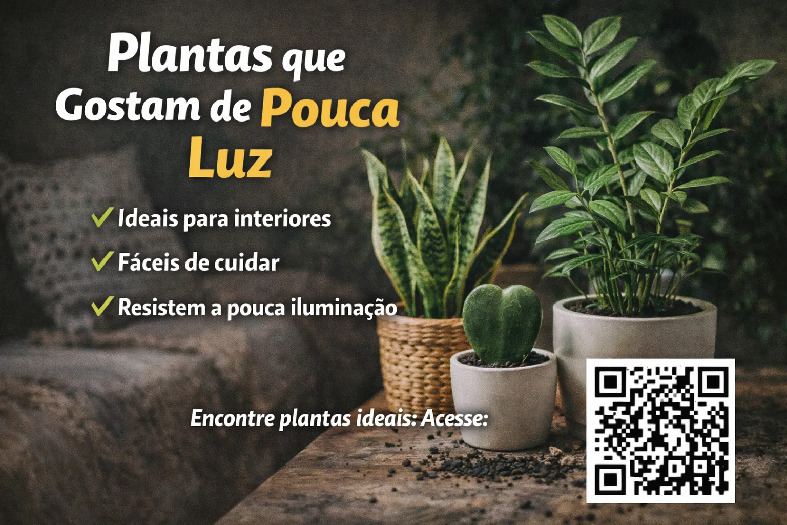 Plantas que gostam de pouca luz: Plantas de interior adaptadas a pouca luz natural